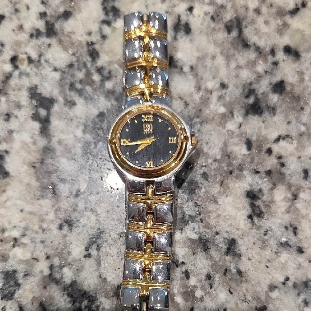 Esq Watch Two Tone